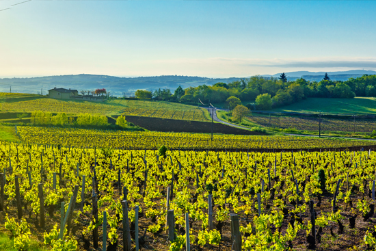Wonen en werken in Frankrijk