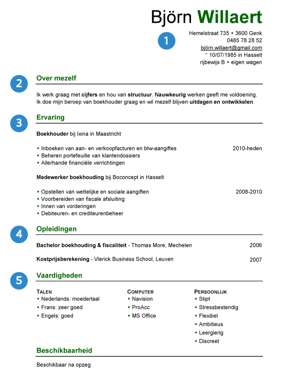 cv voorbeeld