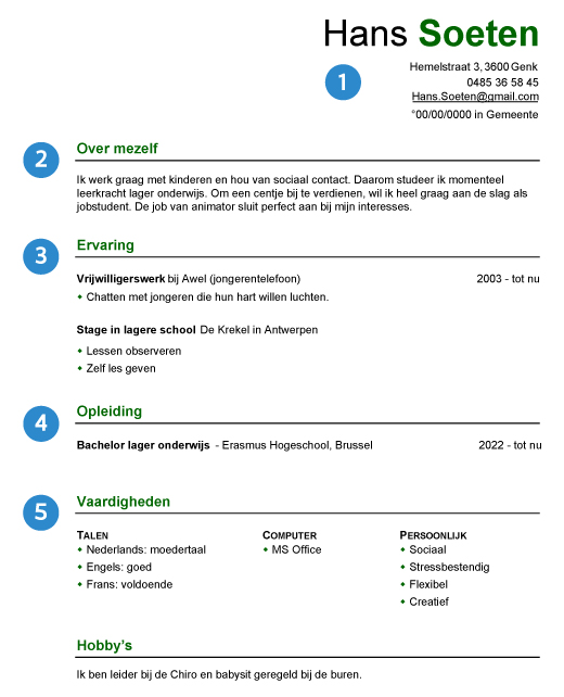 Jobstudent cv voorbeeld